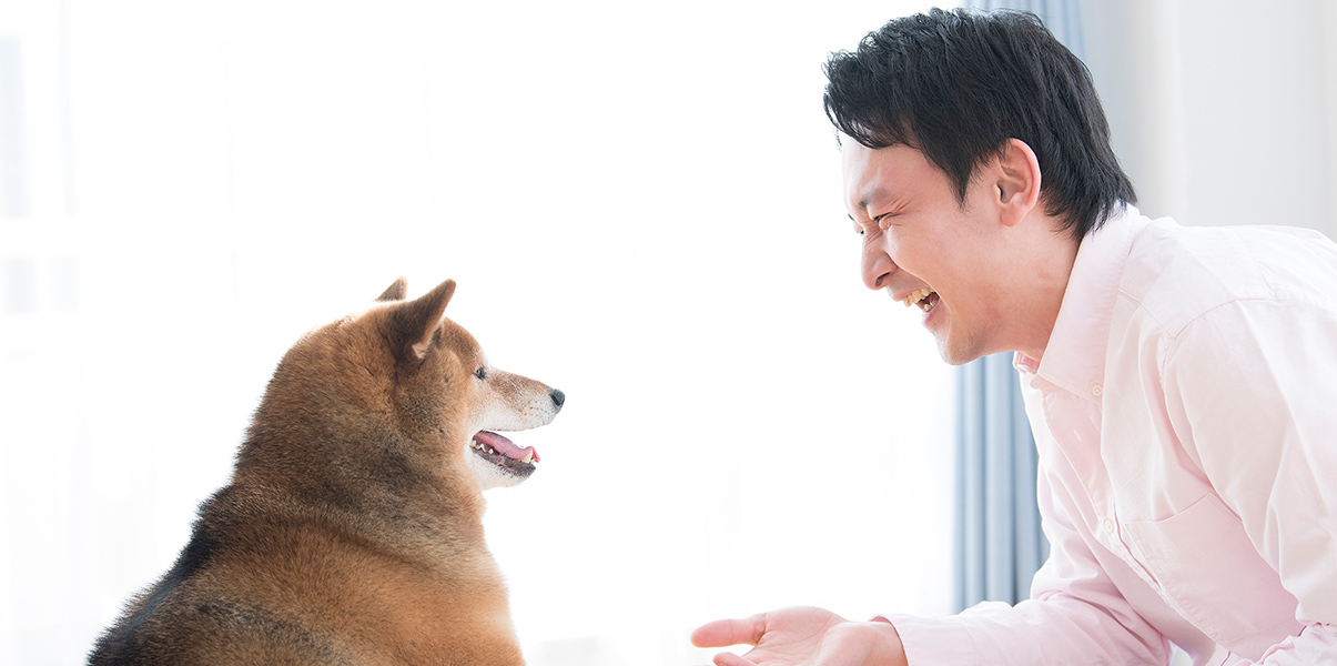 かわかみ動物病院