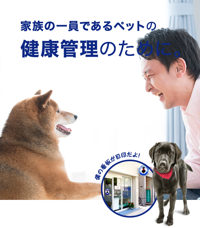 かわかみ動物病院